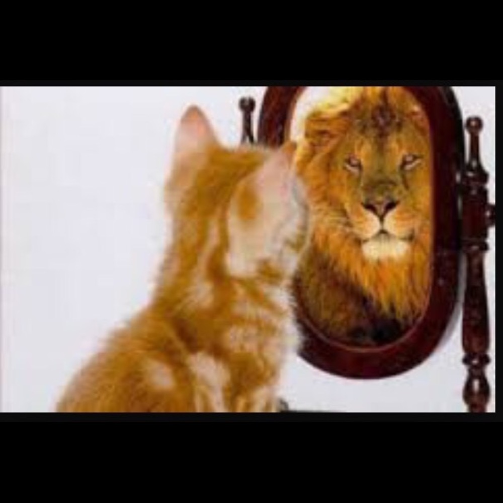 Meet your Posher, Rosa